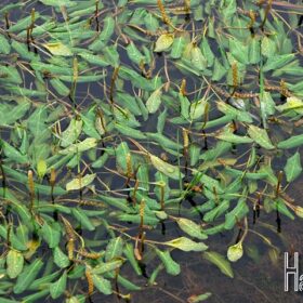 22668986623 0dbc1c3d3e o