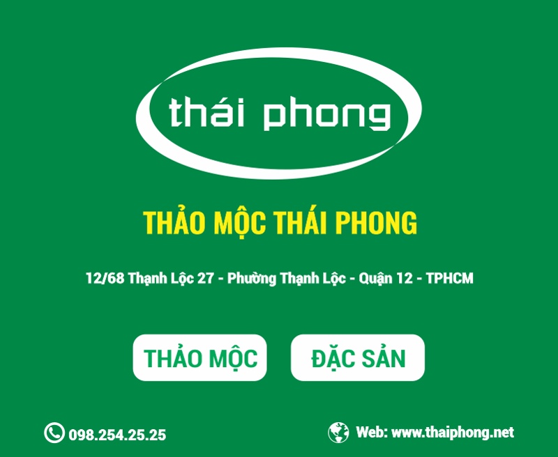 THAO MOC THAI PHONG