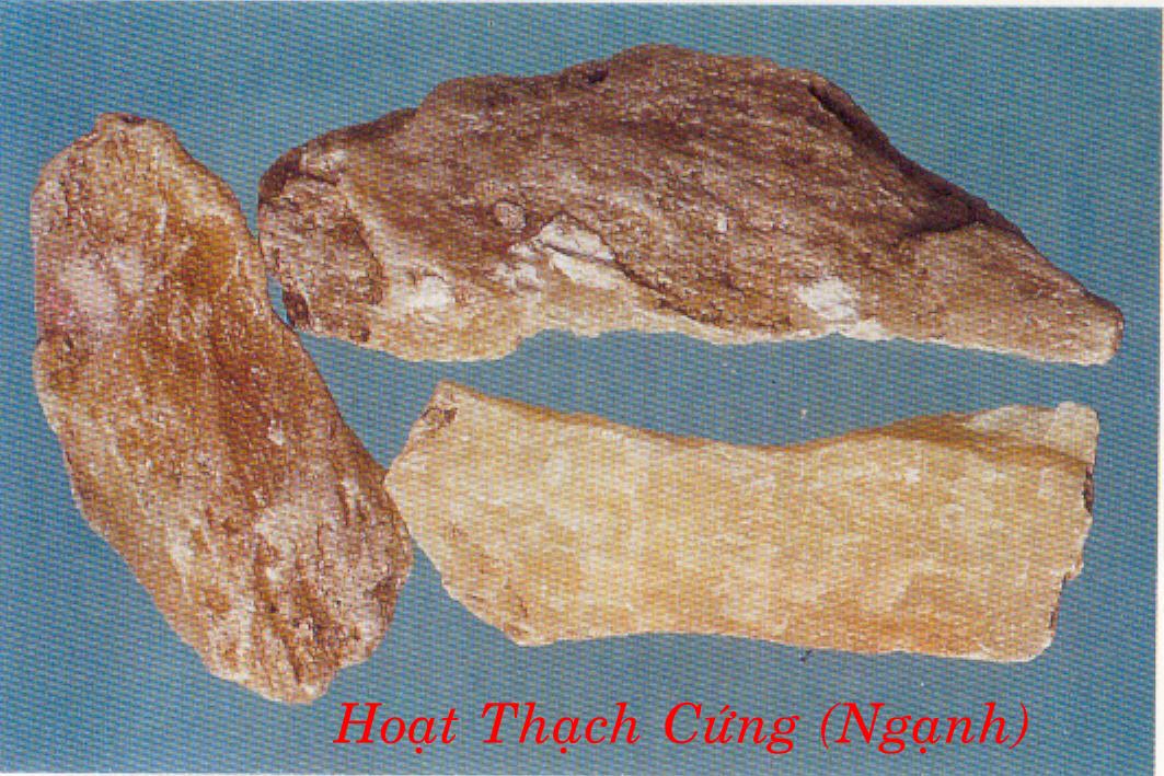 Hoạt thạch