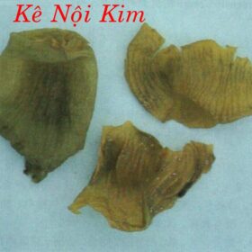 KÊ NỘI KIM 雞 內 金