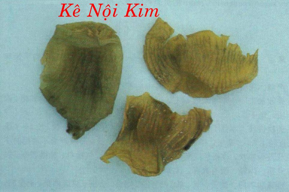 KÊ NỘI KIM 雞 內 金