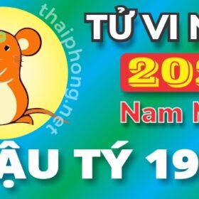 Tử Vi Năm 2025 Tuổi Mậu Tý 1948 Nam Mạng