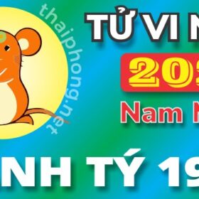 Tử Vi Năm 2025 Tuổi Canh Tý 1960 Nam Mạng