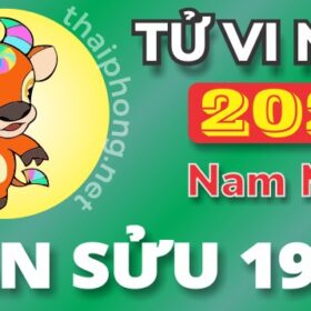 Tử Vi Năm 2025 Tuổi Tân Sửu 1961 Nam Mạng