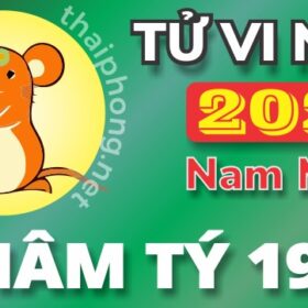 Tử Vi Năm 2025 Tuổi Nhâm Tý 1972 Nam Mạng