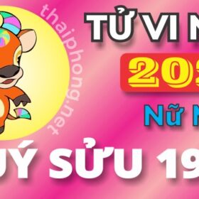 Tử Vi Năm 2025 Tuổi Quý Sửu 1973 Nữ Mạng