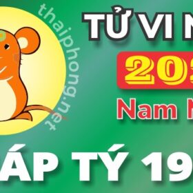 Tử Vi Tuổi Giáp Tý 1984 Năm 2025 ( Ất Tỵ) - NAM MẠNG