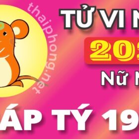 Tử Vi Tuổi Giáp Tý 1984 Năm 2025 ( Ất Tỵ) - NU MẠNG