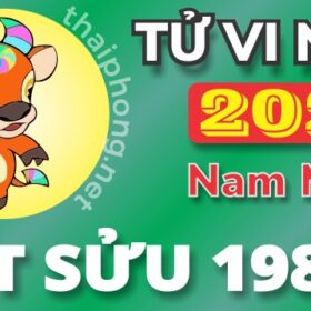 Tử Vi Năm 2025 Tuổi Ất Sửu 1985 Nam Mạng