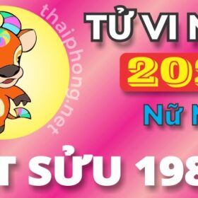 Tử Vi Năm 2025 Tuổi Ất Sửu 1985 Nữ Mạng