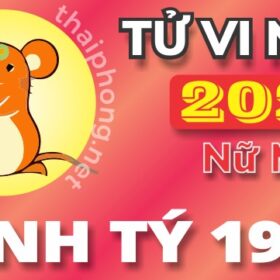 Tử Vi Tuổi Bính Tý 1996 Năm 2025 ( Ất Tỵ) - NU MẠNG