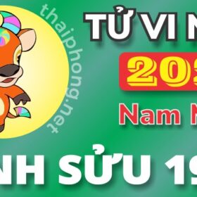 Tử Vi Năm 2025 Tuổi Đinh Sửu 1997 Nam Mạng