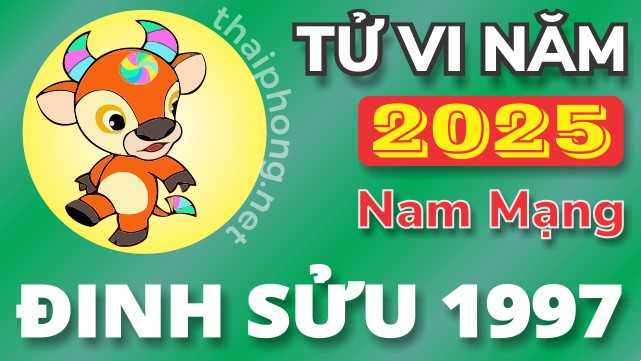 Tử Vi Năm 2025 Tuổi Đinh Sửu 1997 Nam Mạng