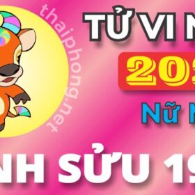 Tử Vi Năm 2025 Tuổi Đinh Sửu 1997 Nữ Mạng