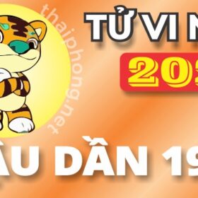 Tử Vi Năm 2025 Tuổi Mậu Dần 1998 Nam Mạng