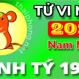 Tử Vi Năm 2025 Tuổi Bính Tý 1996 Nam Mạng