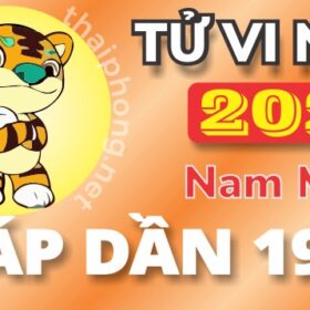 Tử Vi Năm 2025 Tuổi Giáp Dần 1974 Nam Mạng