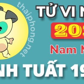 Tử Vi Năm 2025 Tuổi Bính Tuất 1946 Nam Mạng