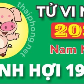 Tử Vi Năm 2025 Tuổi Đinh Hợi 1947 Nam Mạng