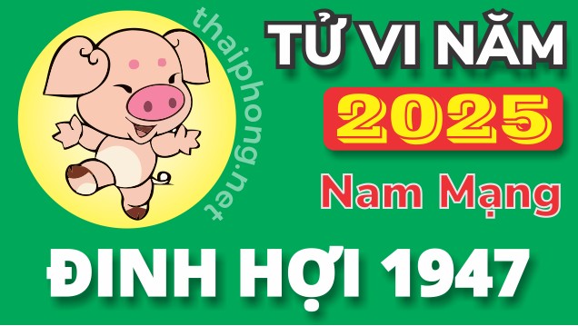 Tử Vi Năm 2025 Tuổi Đinh Hợi 1947 Nam Mạng