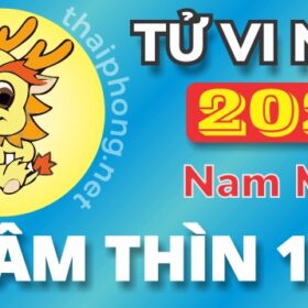 Tử Vi Năm 2025 Tuổi Nhâm Thìn 1952 Nam Mạng