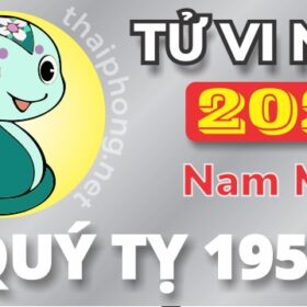Tử Vi Năm 2025 Tuổi Quý Tỵ 1953 Nam Mạng