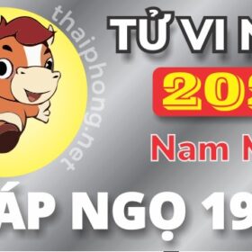 Tử Vi Năm 2025 Tuổi Giáp Ngọ 1954 Nam Mạng