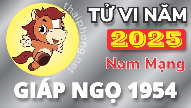 Tử Vi Năm 2025 Tuổi Giáp Ngọ 1954 Nam Mạng