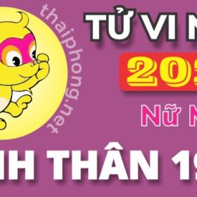 Tử Vi Năm 2025 Tuổi Bính Thân 1956 Nữ Mạng