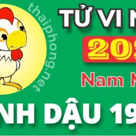 Tử Vi Năm 2025 Tuổi Đinh Dậu 1957 Nam Mạng