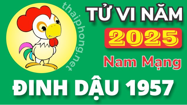 Tử Vi Năm 2025 Tuổi Đinh Dậu 1957 Nam Mạng