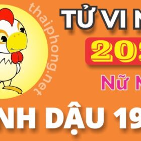 Tử Vi Năm 2025 Tuổi Đinh Dậu 1957 Nữ Mạng