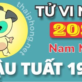 Tử Vi Năm 2025 Tuổi Mậu Tuất 1958 Nam Mạng