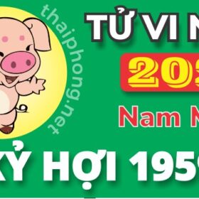 Tử Vi Năm 2025 Tuổi Kỷ Hợi 1959 Nam Mạng