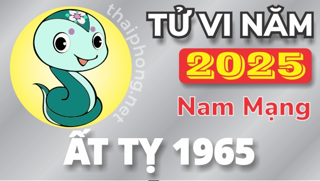 Tử Vi Năm 2025 Tuổi Ất Tỵ 1965 Nam Mạng