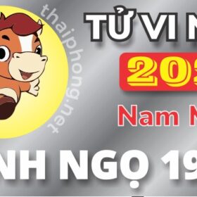 Tử Vi Năm 2025 Tuổi Bính Ngọ 1966 Nam Mạng