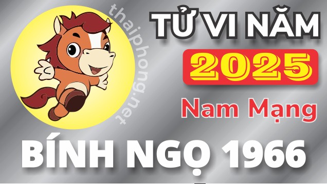 Tử Vi Năm 2025 Tuổi Bính Ngọ 1966 Nam Mạng