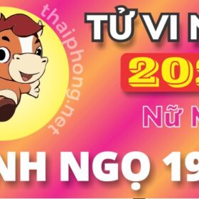 Tử Vi Năm 2025 Tuổi Bính Ngọ 1966 Nữ Mạng