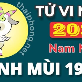 Tử Vi Năm 2025 Tuổi Đinh Mùi 1967 Nam Mạng