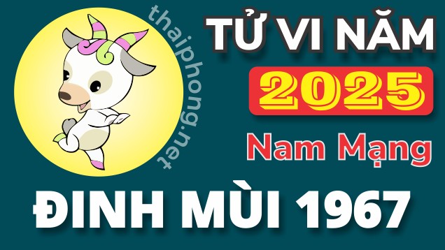 Tử Vi Năm 2025 Tuổi Đinh Mùi 1967 Nam Mạng