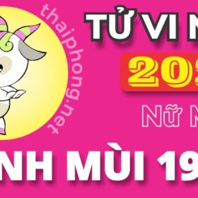 Tử Vi Năm 2025 Tuổi Đinh Mùi 1967 Nữ Mạng