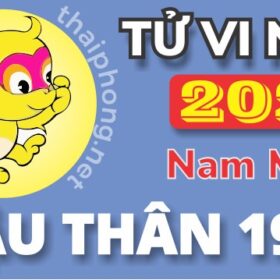 Tử Vi Năm 2025 Tuổi Mậu Thân 1968 Nam Mạng