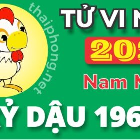 Tử Vi Năm 2025 Tuổi Kỷ Dậu 1969 Nam Mạng