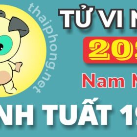 Tử Vi Năm 2025 Tuổi Canh Tuất 1970 Nam Mạng