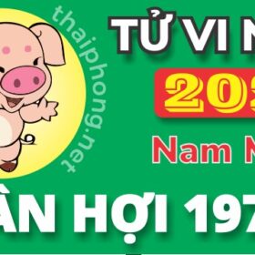 Tử Vi Năm 2025 Tuổi Tân Hợi 1971 Nam Mạng