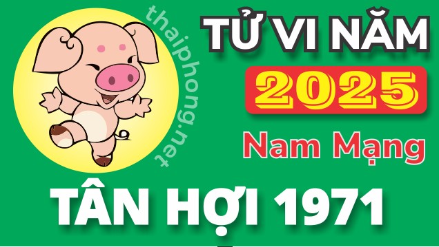 Tử Vi Năm 2025 Tuổi Tân Hợi 1971 Nam Mạng