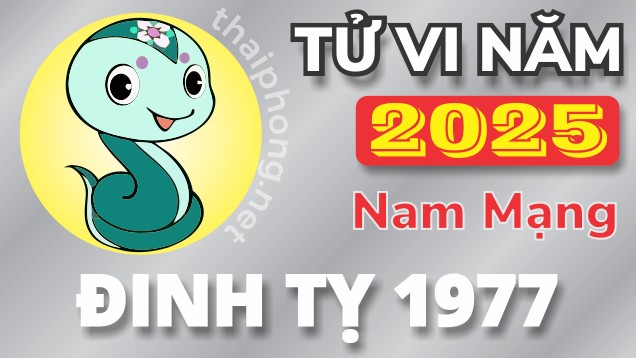 Tử Vi Năm 2025 Tuổi Đinh Tỵ 1977 Nam Mạng