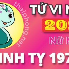 Tử Vi Năm 2025 Tuổi Đinh Tỵ 1977 Nữ Mạng