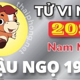 Tử Vi Năm 2025 Tuổi Mậu Ngọ 1978 Nam Mạng