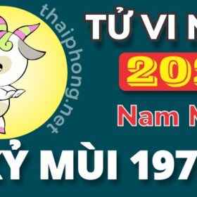 Tử Vi Năm 2025 Tuổi Kỷ Mùi 1979 Nam Mạng